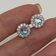 Mark Areias Jewelers Jewellery & Watches Cabochon Natural Moonstone & Diamonds Pave Halo Post Earrings 14K White Gold